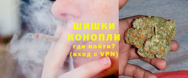 ПСИЛОЦИБИНОВЫЕ ГРИБЫ Инсар