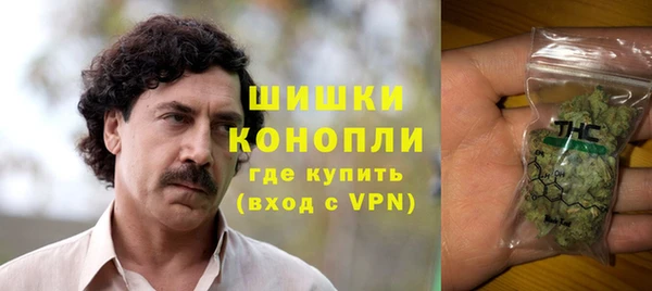 ПСИЛОЦИБИНОВЫЕ ГРИБЫ Инсар