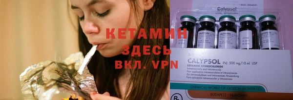 ПСИЛОЦИБИНОВЫЕ ГРИБЫ Инсар