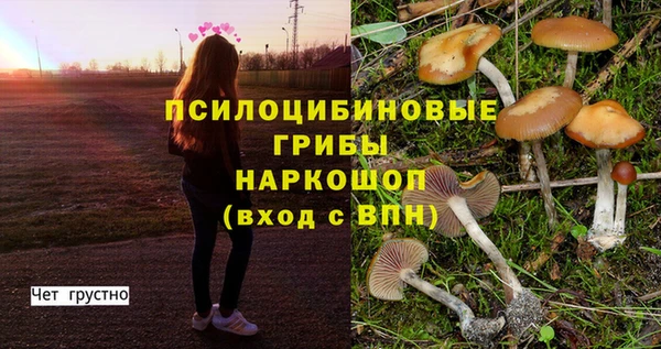 марки nbome Иннополис