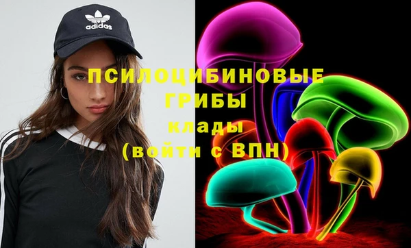 ПСИЛОЦИБИНОВЫЕ ГРИБЫ Инсар