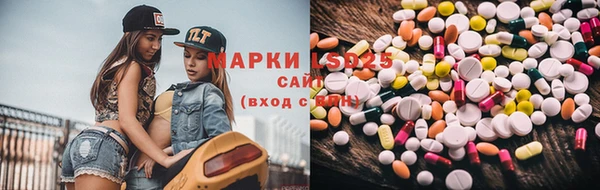 ПСИЛОЦИБИНОВЫЕ ГРИБЫ Инсар
